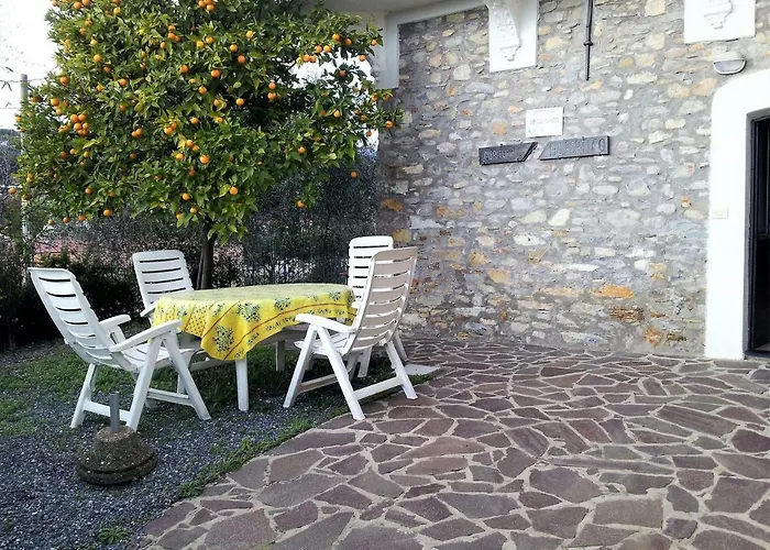 Ulivo * Diano San Pietro