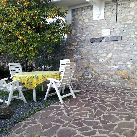 Ulivo * Diano San Pietro